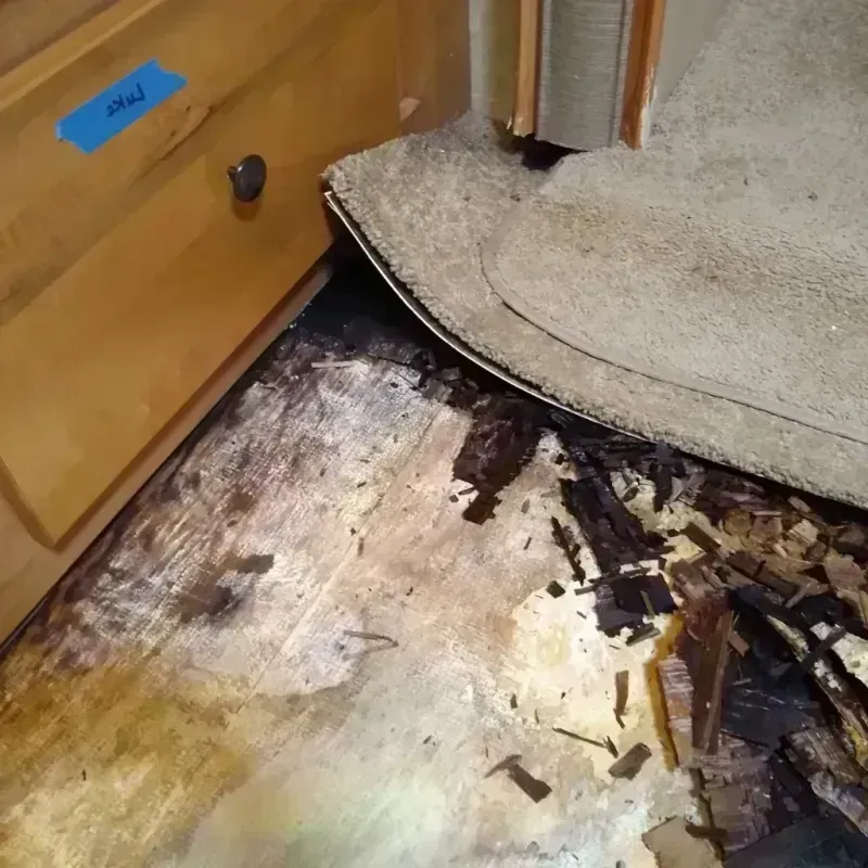 Best Wood Floor Water Damage Service in Mulberry, FL